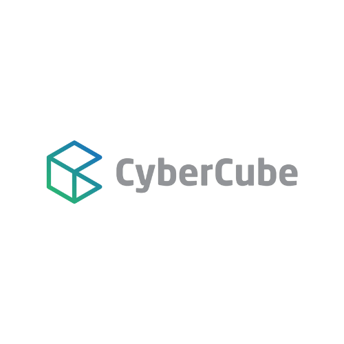 CyberCube Analytics