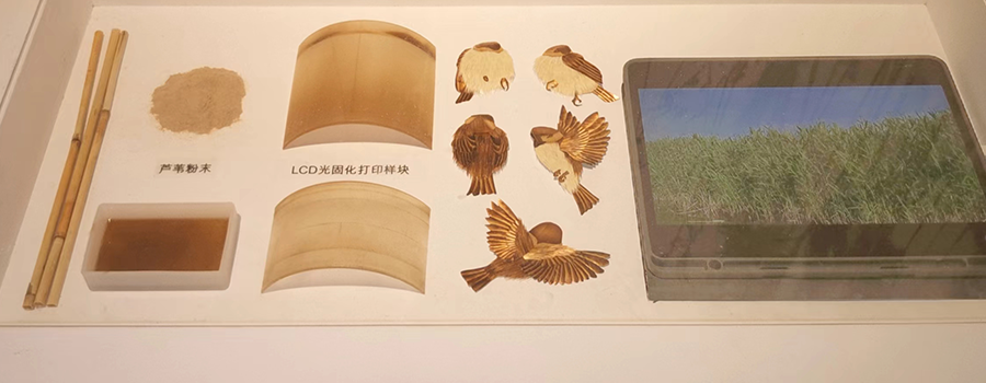 李一诺