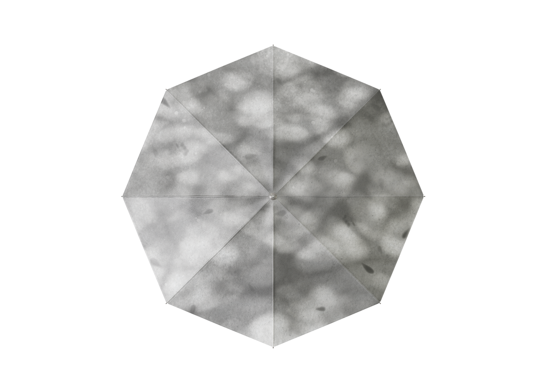 In Praise of Shadow -Branches