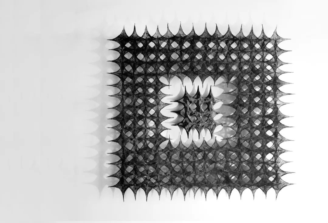 Layered Shadows Lacquer Silk Art Installation