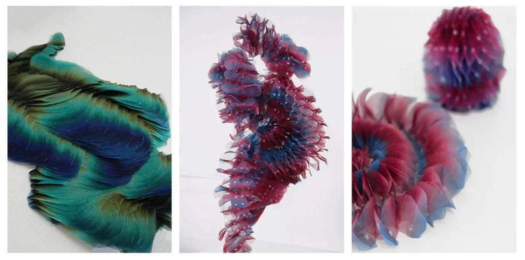 Buddha, Water, Clouds, Flowers