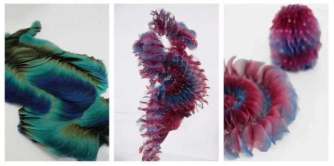 Buddha, Water, Clouds, Flowers