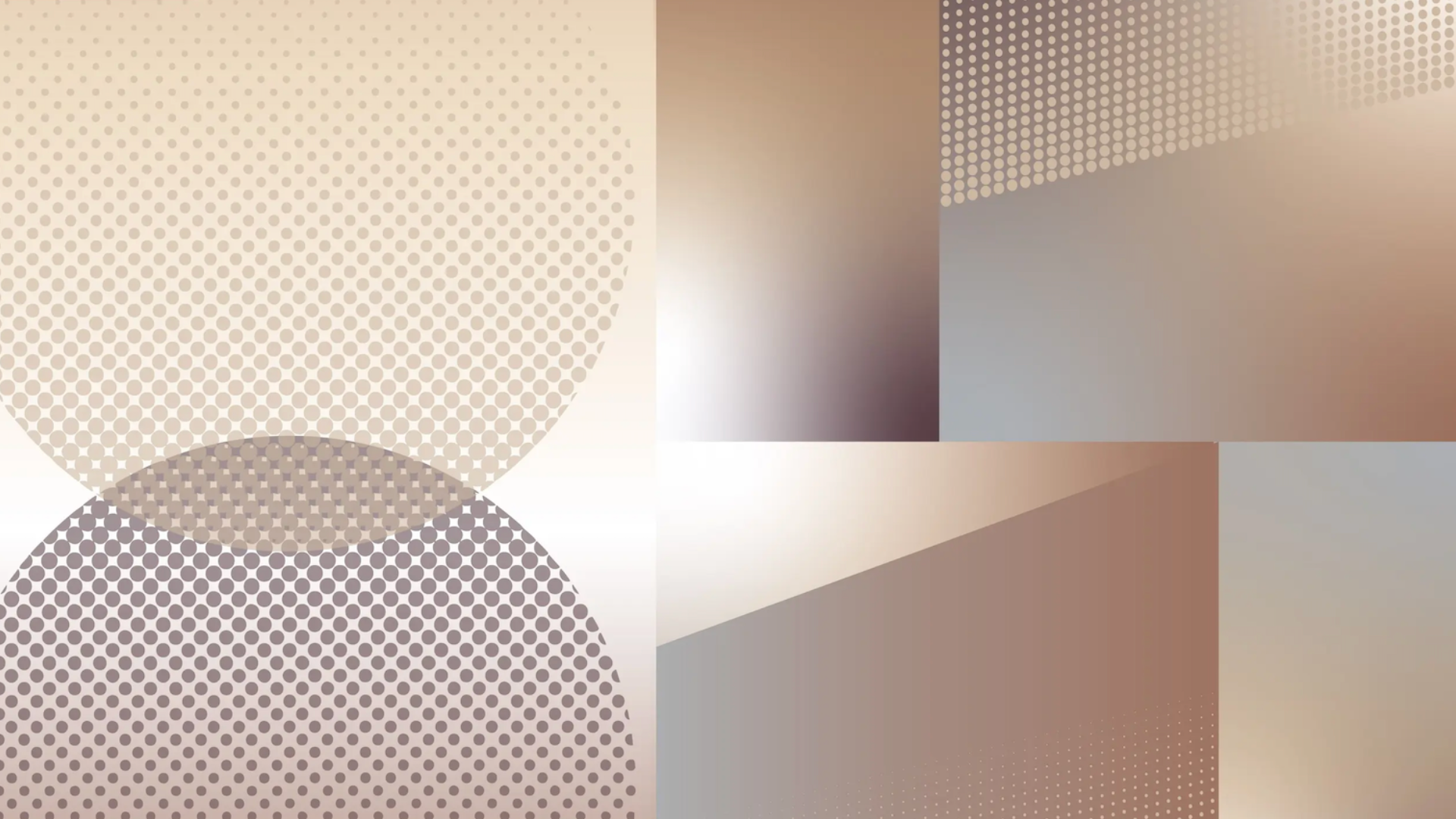 感官庇护Sensory Refuge