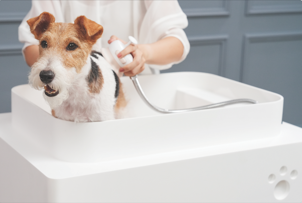 DoggieBath