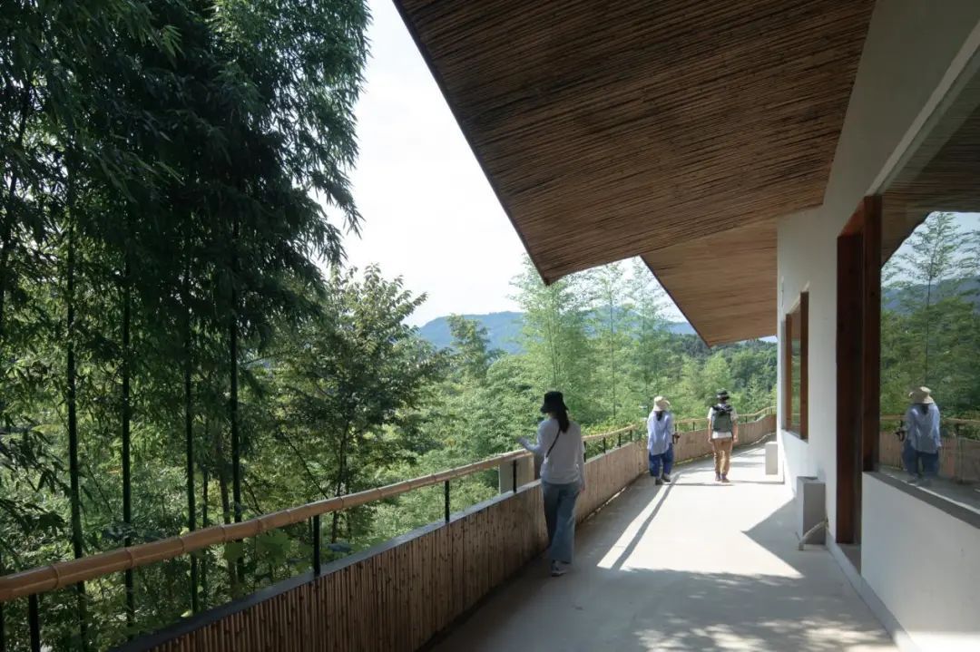 彭州小石村整村改造建筑设计系列