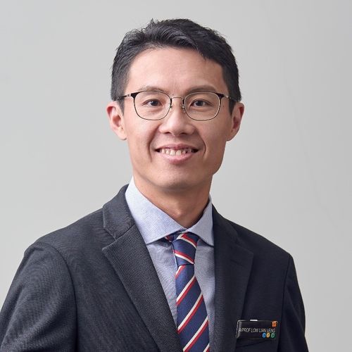 Lian Leng Low