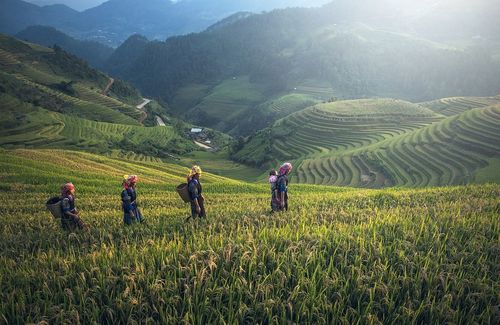 Mind the Gap: Addressing the Natural Catastrophe Protection Gap in Asia Through Collaborative Innovation