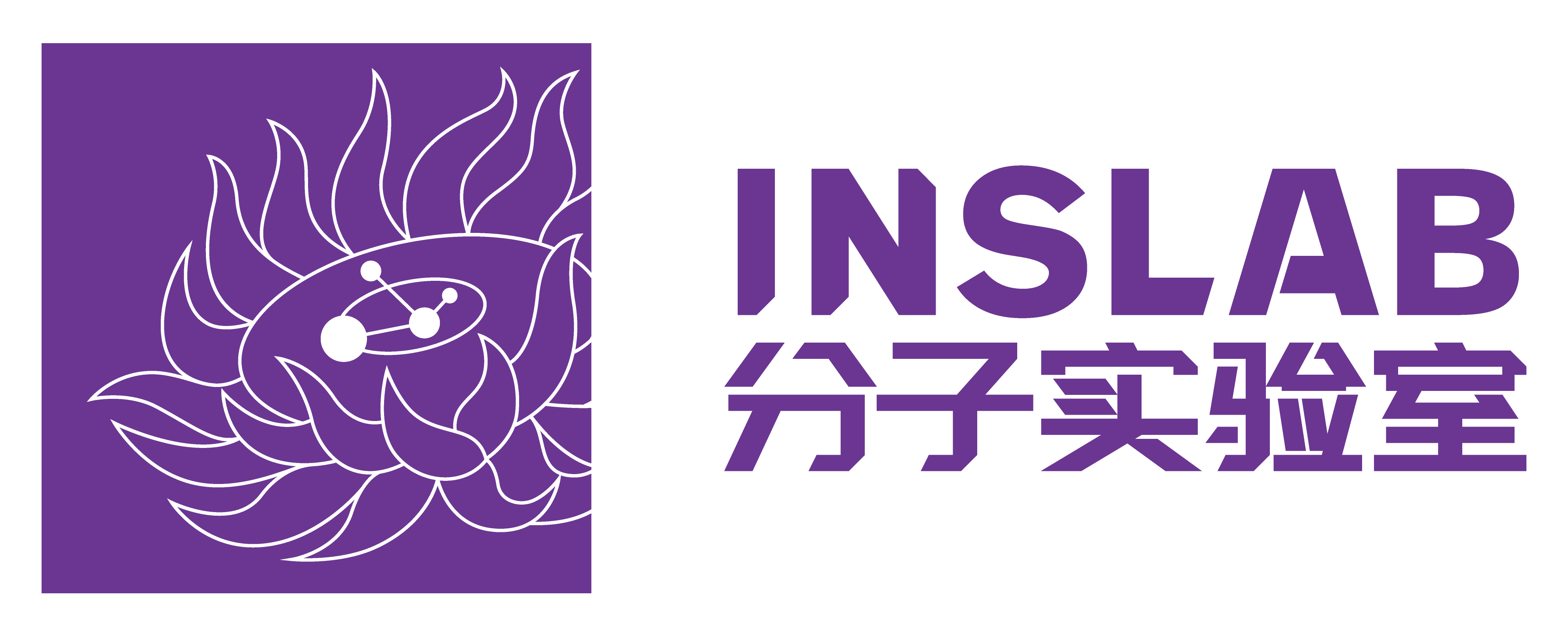 Inslab