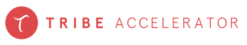 Tribe Accelerator