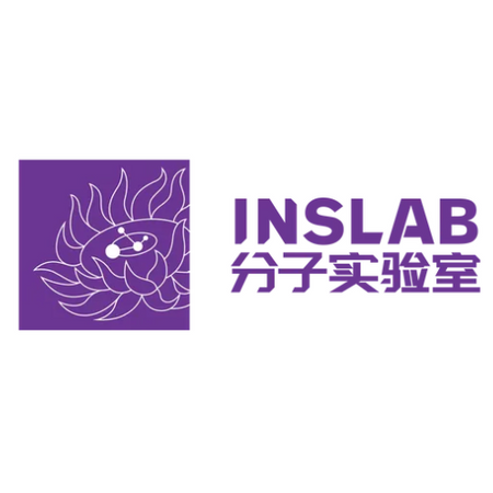 INSLAB
