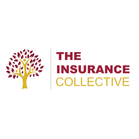 The Insurance Collective