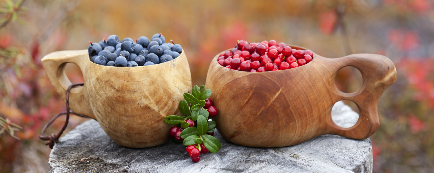 Cover image - Great (HK) Investment Co., Ltd | Tryfinnish