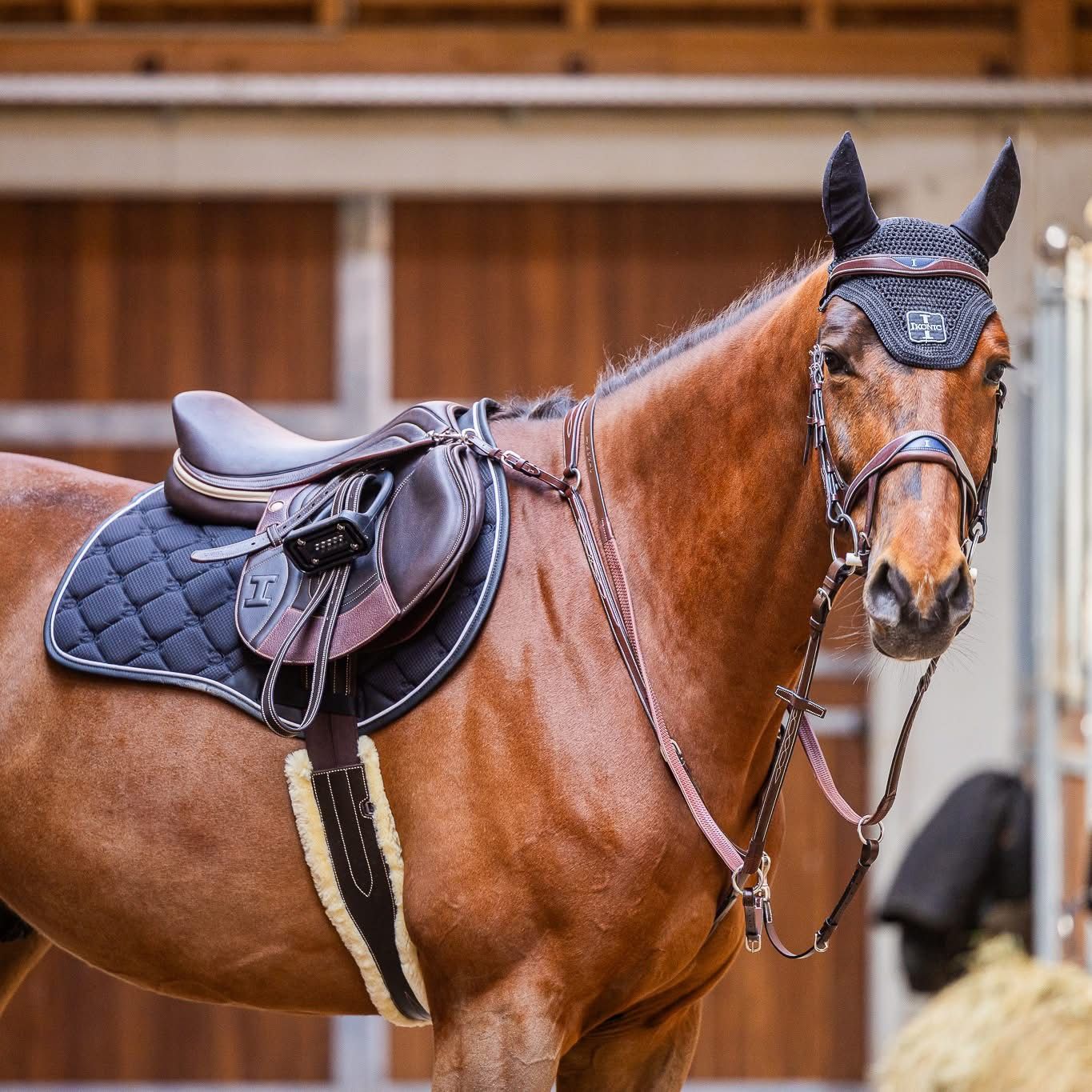 Cover image - IKONIC SADDLERY HK