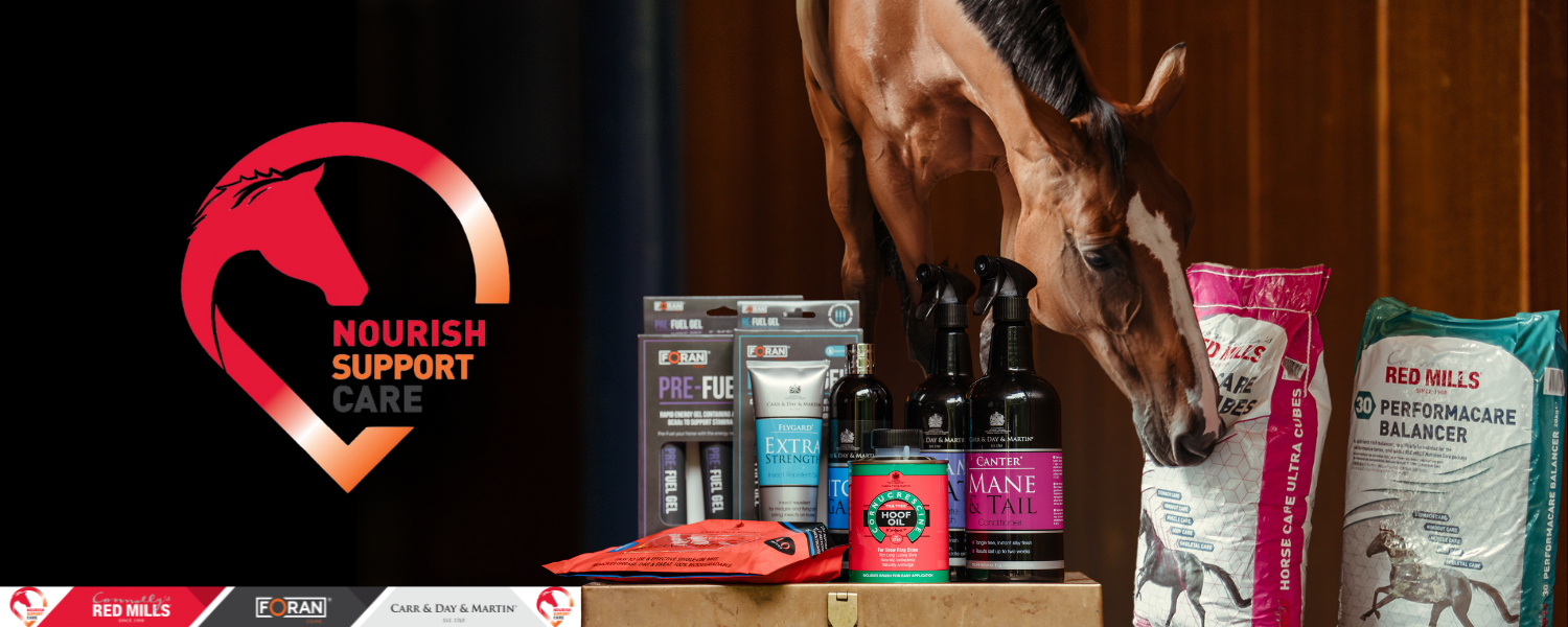 Cover image - Connolly’s RED MILLS 