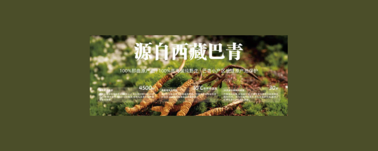 Cover image - Xizang Baqing Qizhen Industry Co., Ltd 