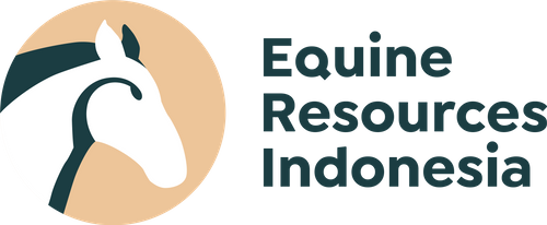 Eri Saddlery