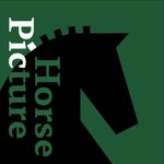 Horse Picture