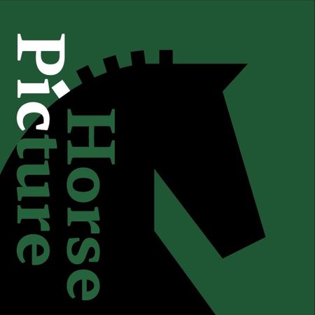 Horse Picture