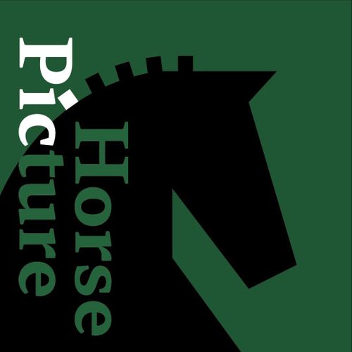 Horse Picture