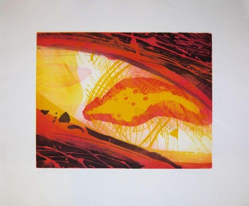 Microben - Willibrord Haas