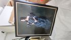 Black Paper Bride