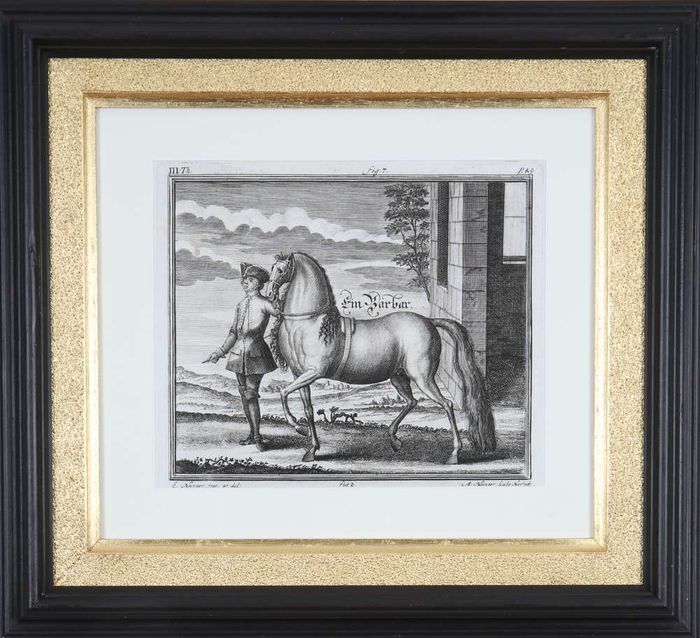 Georg Engelhard von Löhneisen: 18th Century Engravings of Horses