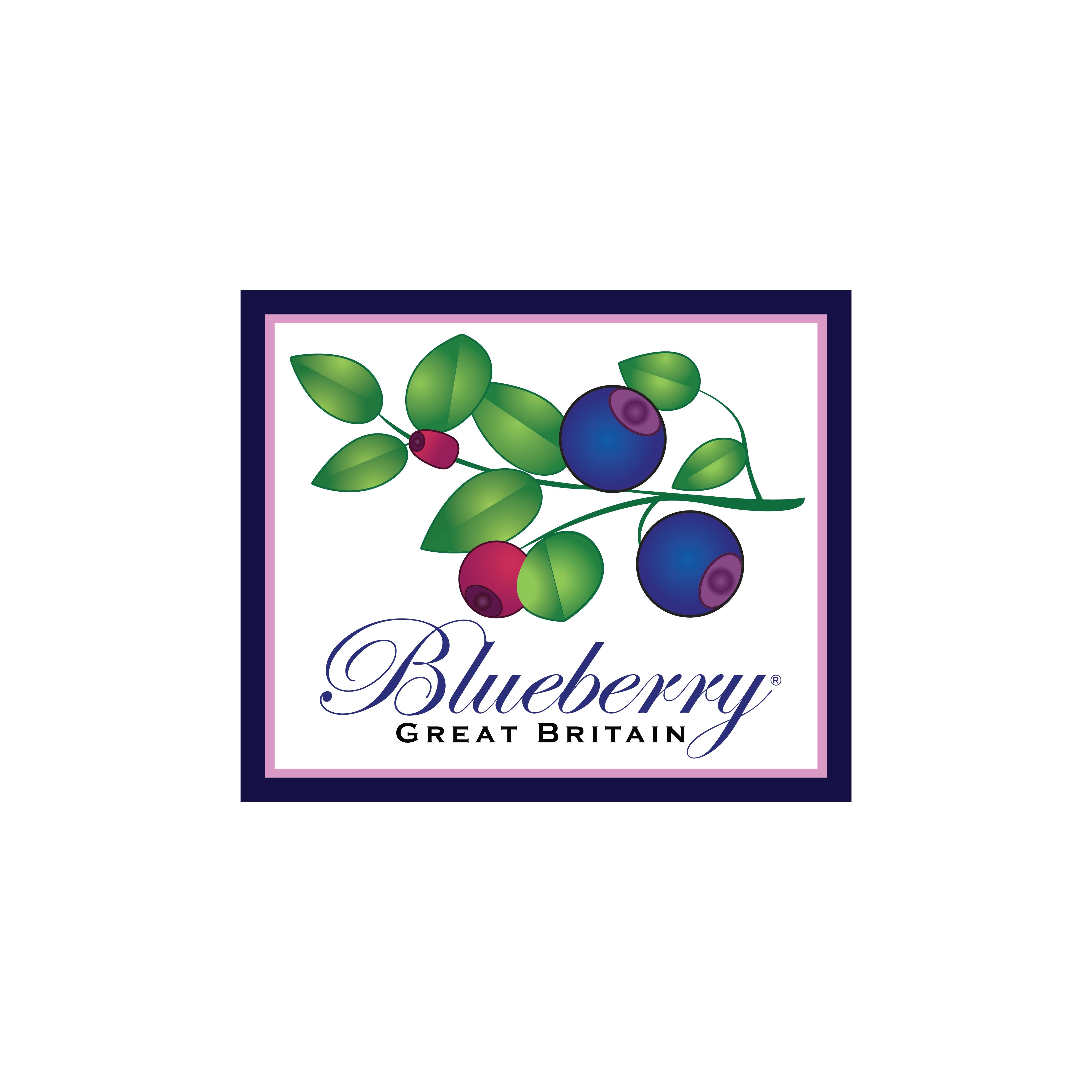 Blueberry London Limited