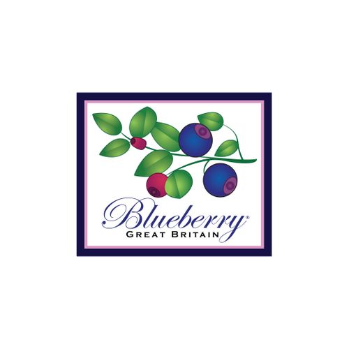 Blueberry London Limited