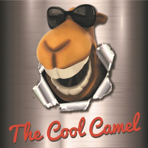 The Cool Camel