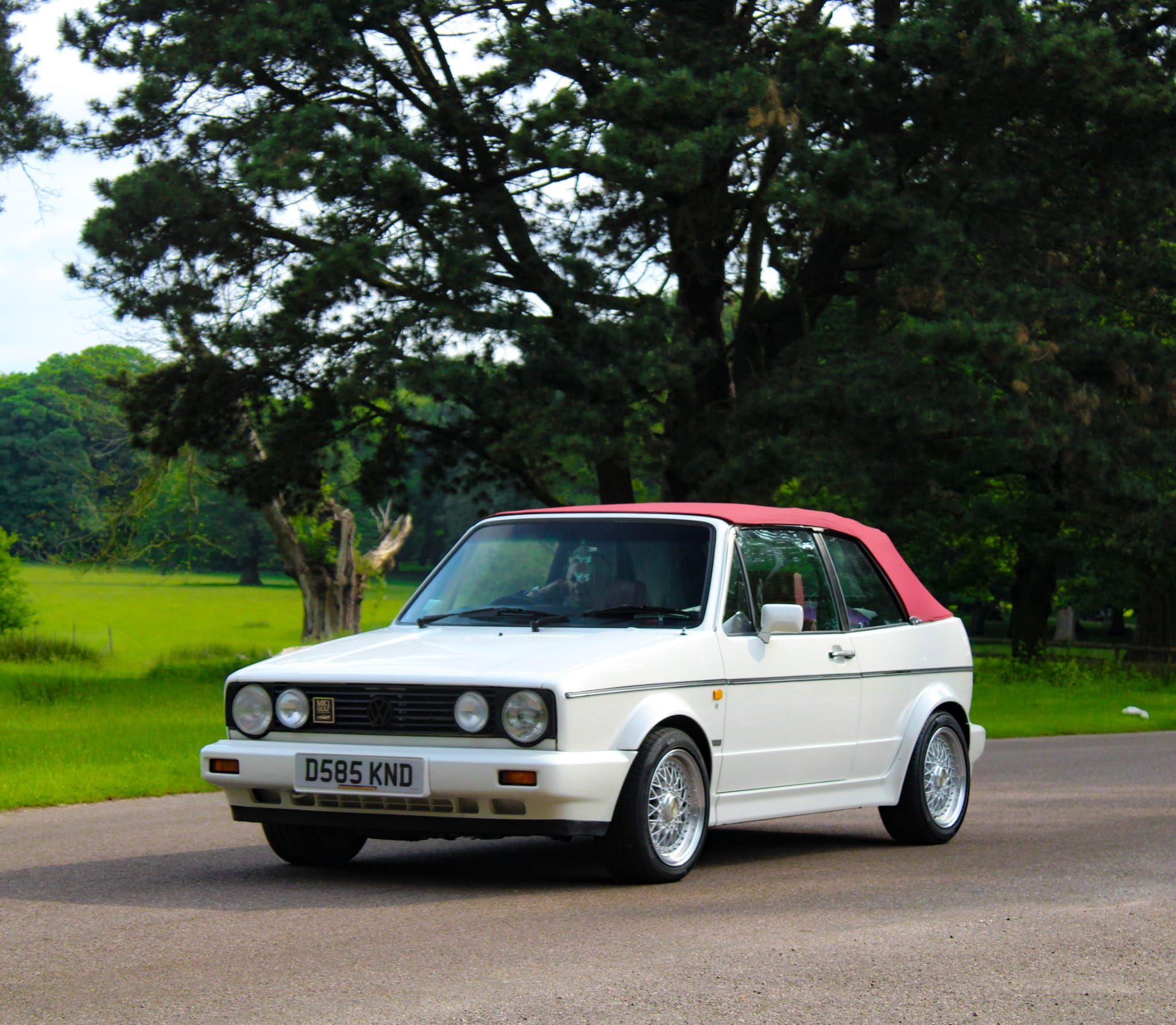 Tracey Cantrell - 1986 VW Golf GTi