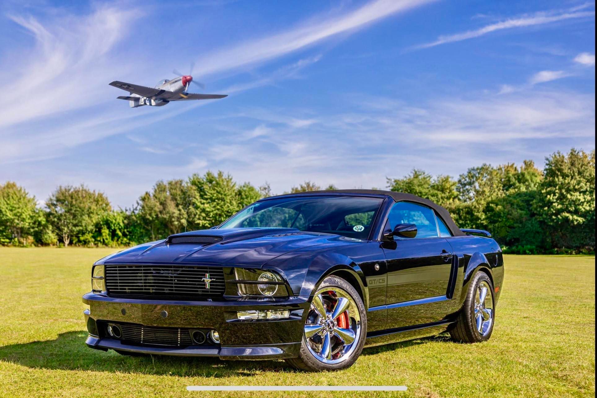 60th Anniversary Celebration of the Ford Mustang