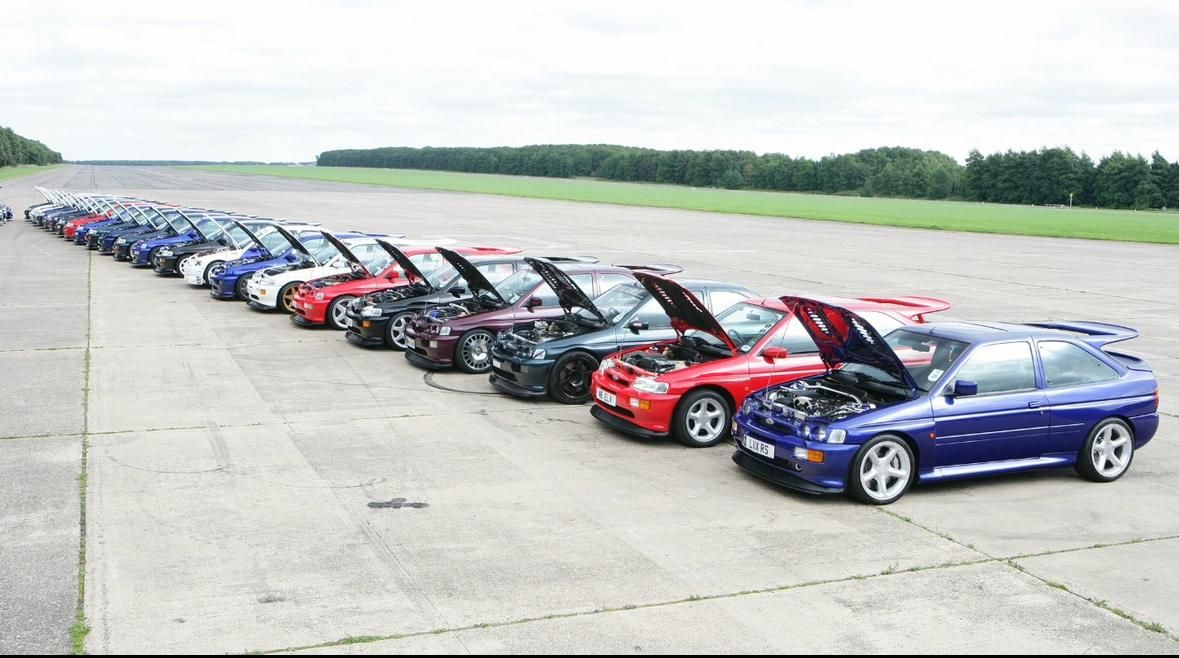 Show Line Up