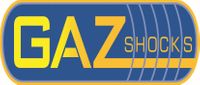 Company name - Gaz Shocks