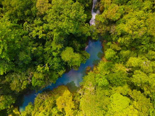 Costa Rica - Livin' the Pura Vida