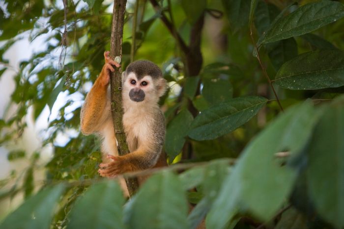 Another Winter In Costa Rica!