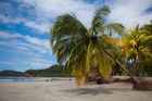Another Winter In Costa Rica!