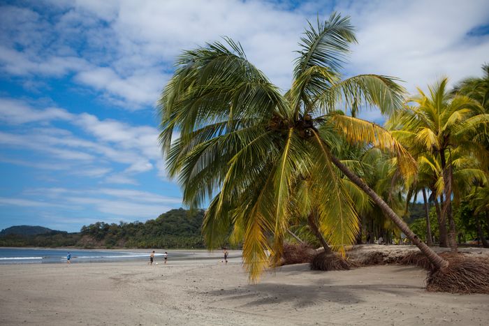 Another Winter In Costa Rica!