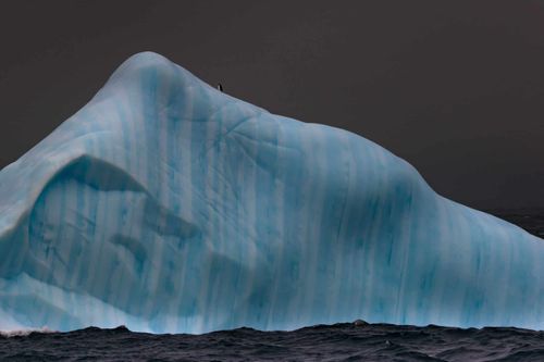 Poles Apart - The Beauty, Savagery and Precariousness of the Arctic and Antarctic.
