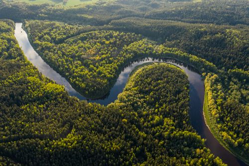 From Belem to Manaus: An Amazon Adventure