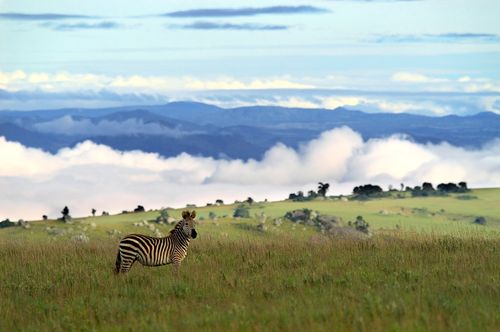 Visit Malawi