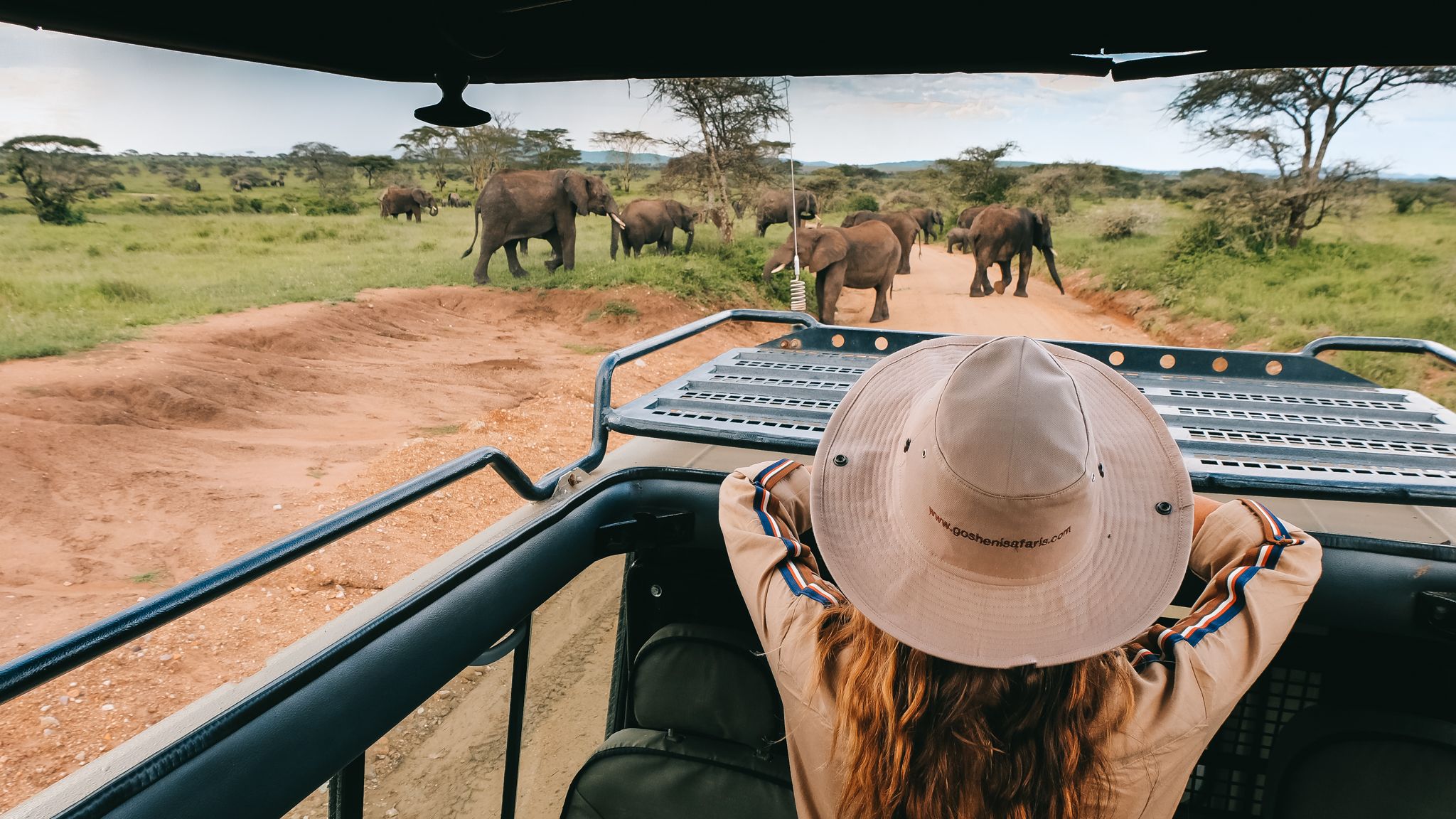 Gosheni Safaris Africa - Locally-owned tour operator in Tanzania
