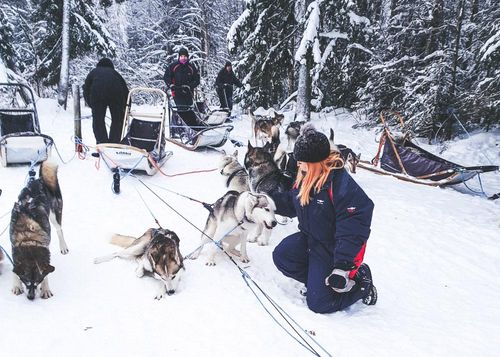 EXODUS DOES Winter Adventures