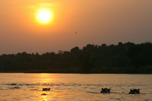 Your Uganda The Pearl of Africa