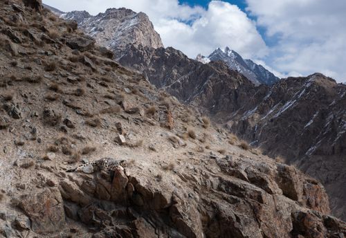 Wild Expeditions in collaboration with Nikon