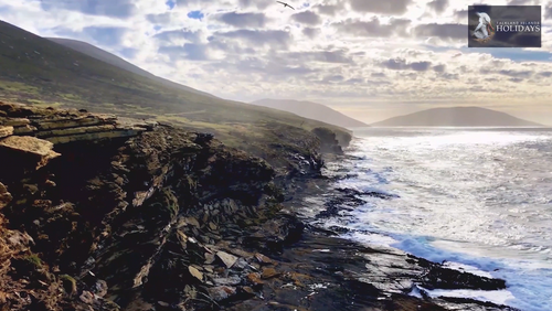 Visit the wildlife-rich Falkland Islands