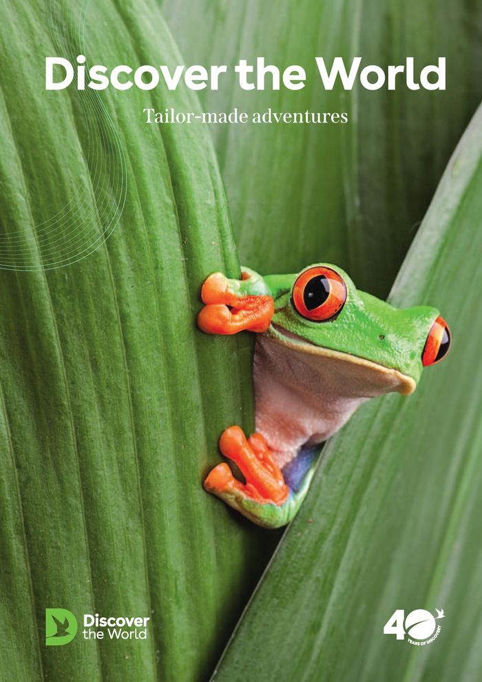 Discover the World