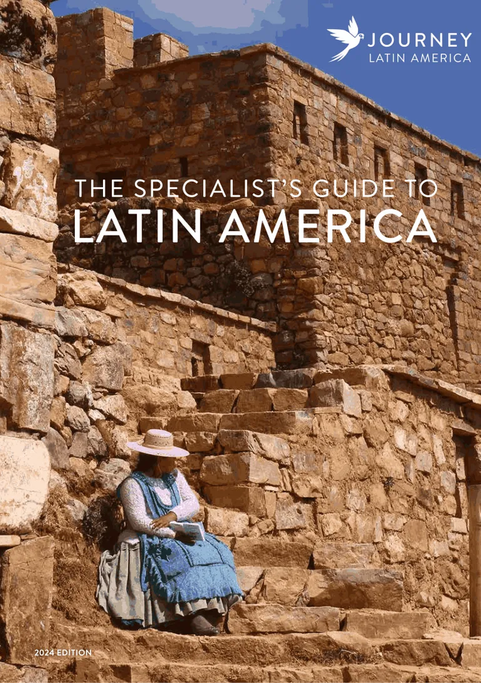 The Specialist's Guide to Latin America