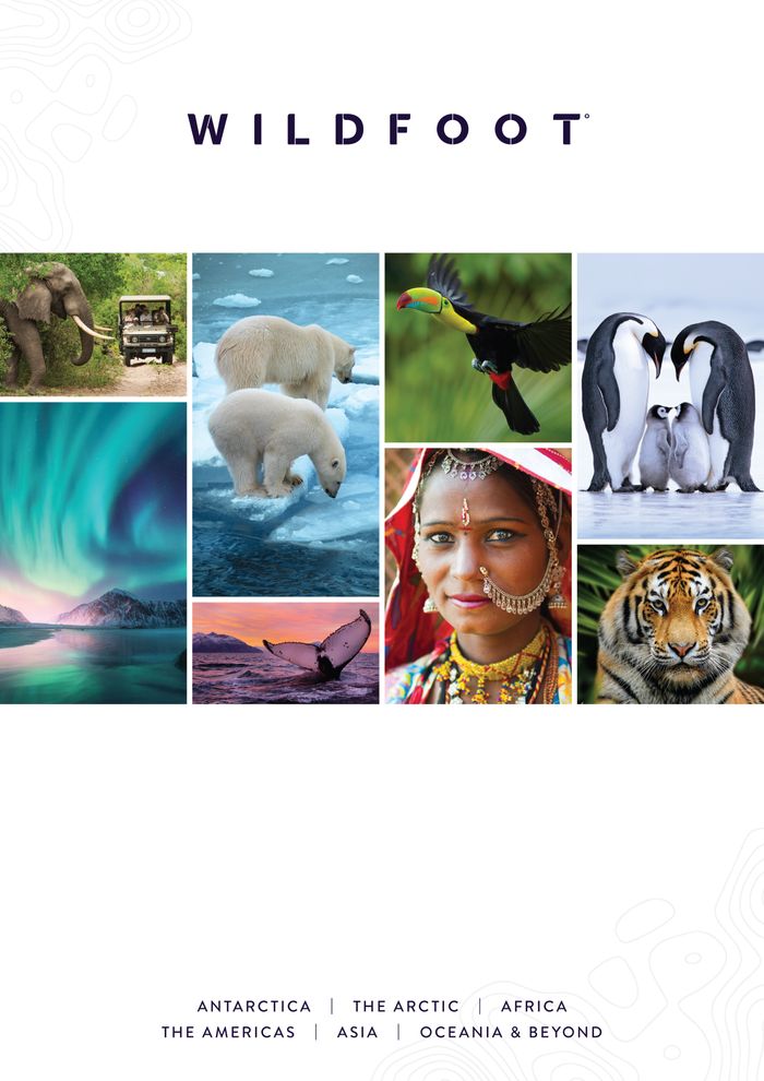 Wildfoot Travel Brochure 2025