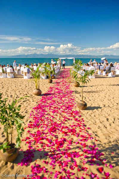 WEDDINGS AND HONEYMOONS