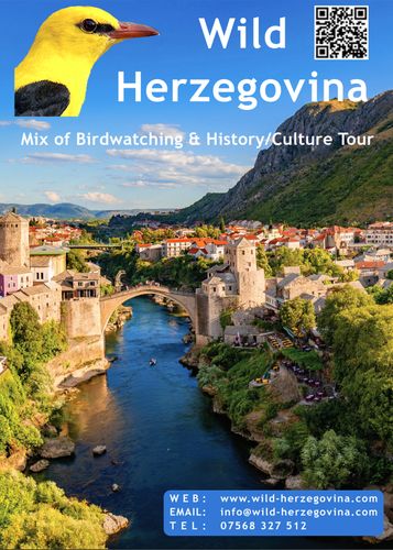 Wild Herzegovina Mixed - Birdwatching & History/culture Guided Tour